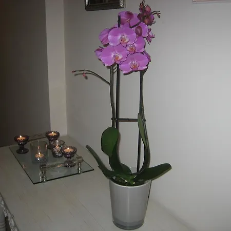 Bed & Breakfast Elverum Bed & Breakfast Elverum